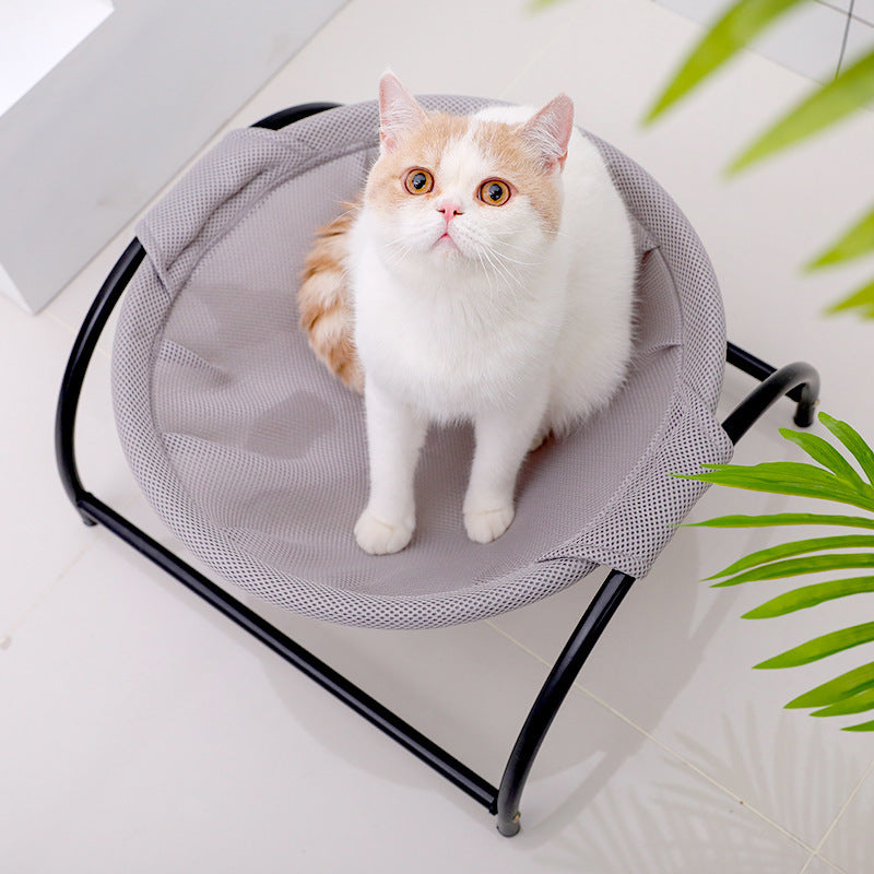 Pet Chili