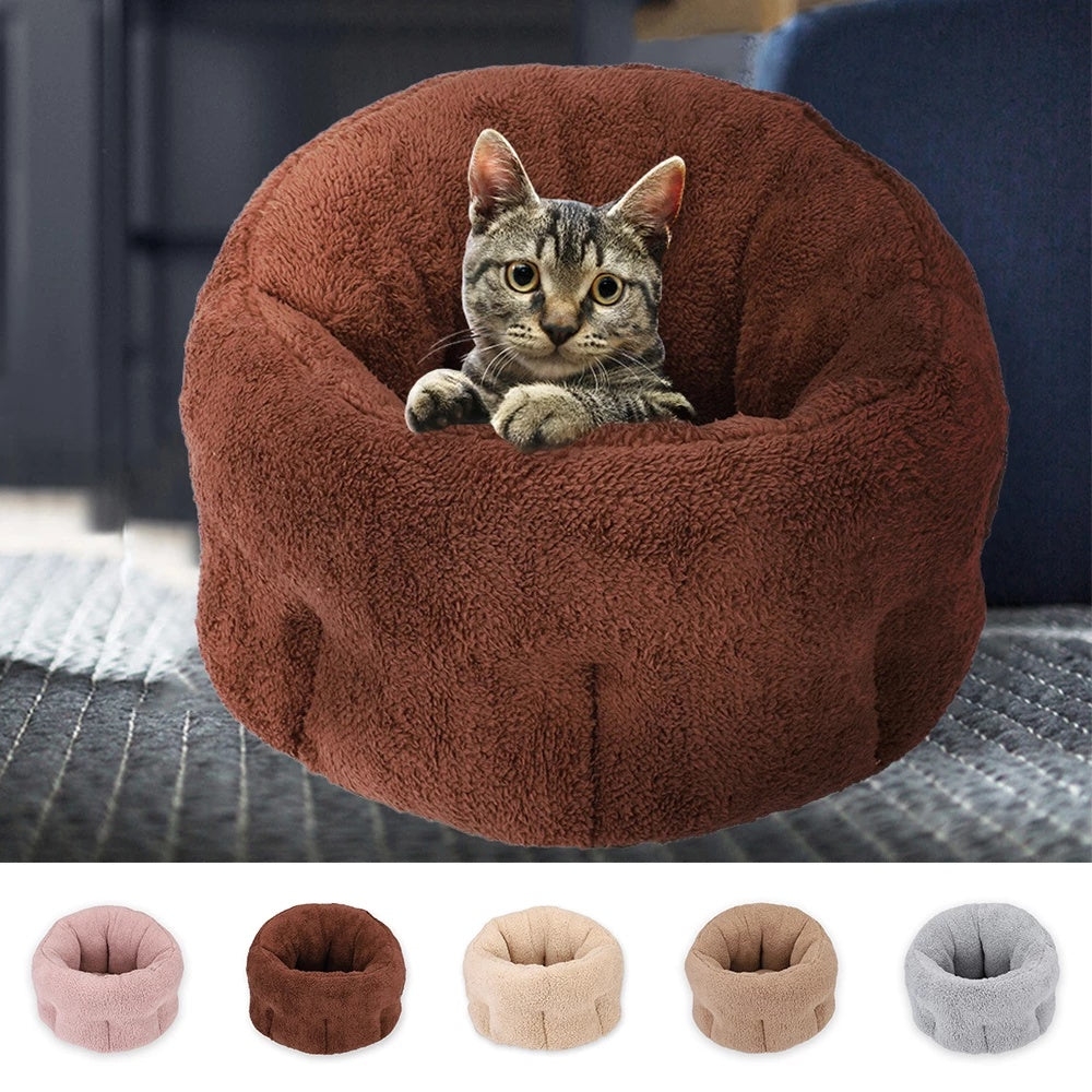 Pet Chili