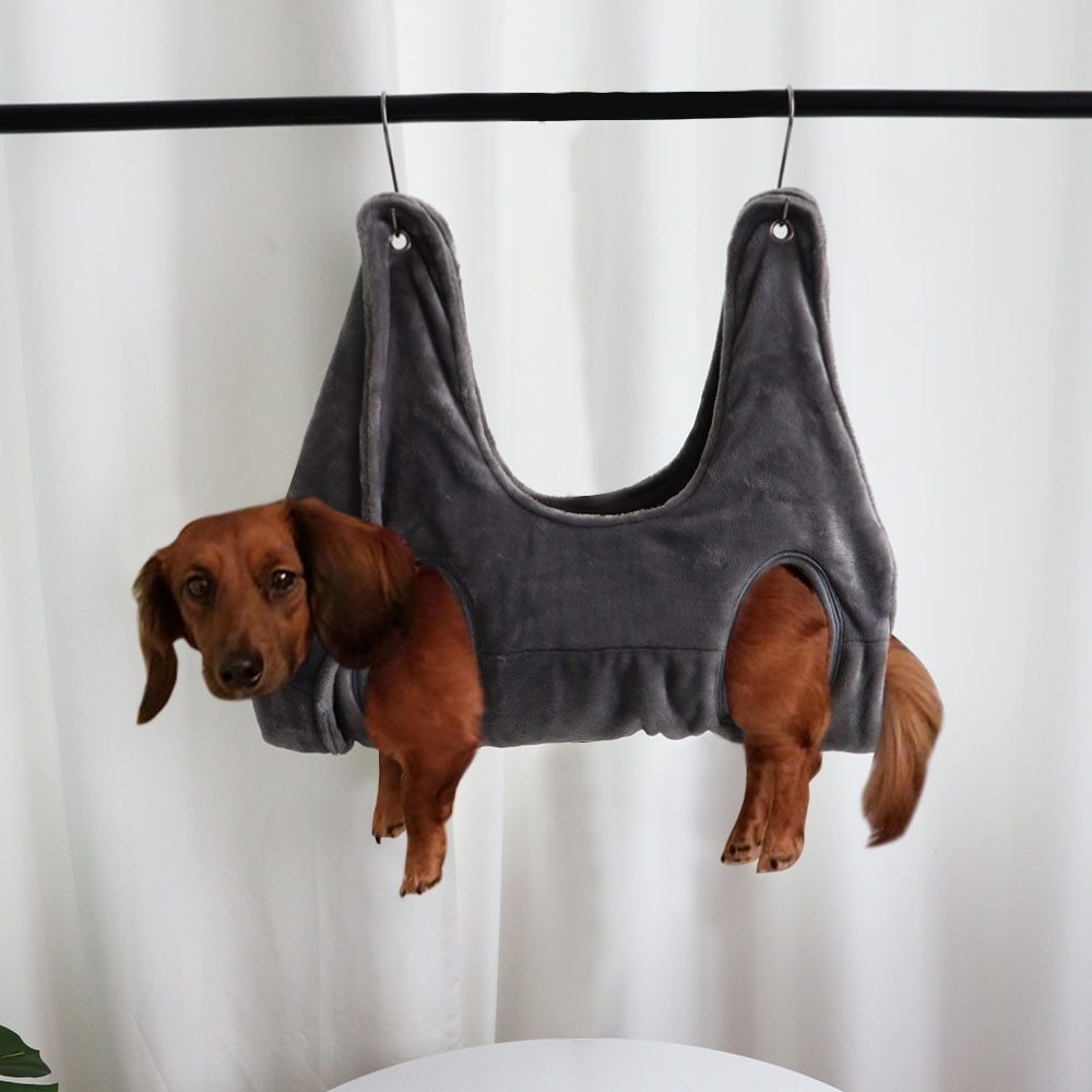 Pet Chili