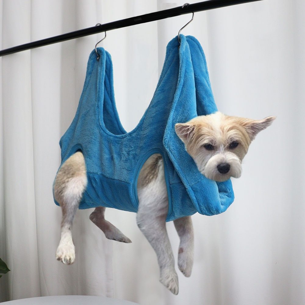 Pet Chili