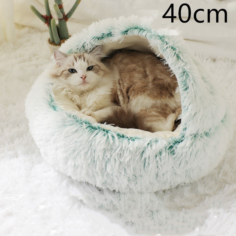Pet Chili