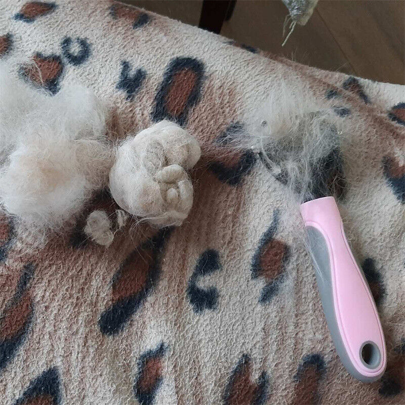 Pet Chili