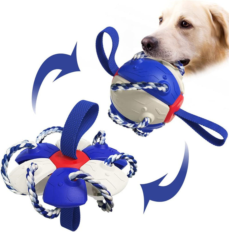Pet Chili