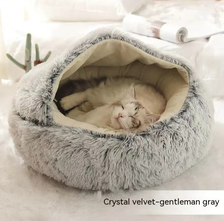 Pet Chili