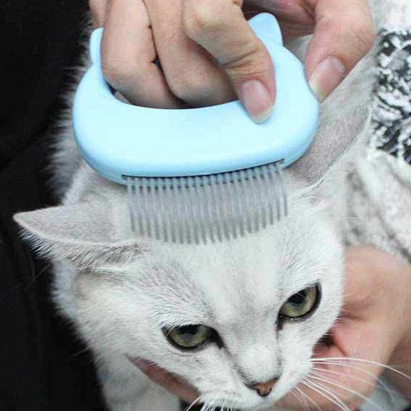 Pet Chili
