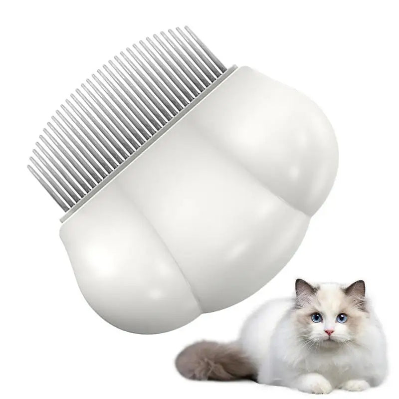Pet Chili