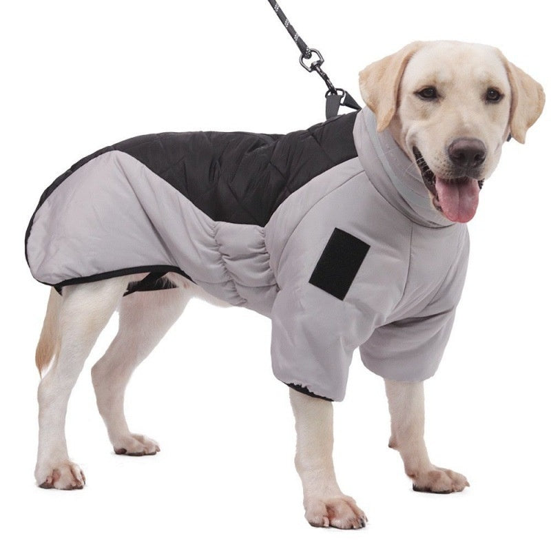 Pet Chili