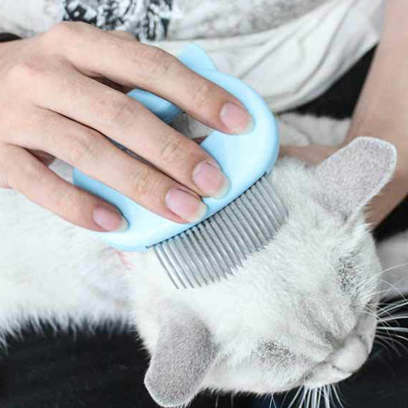 Pet Chili