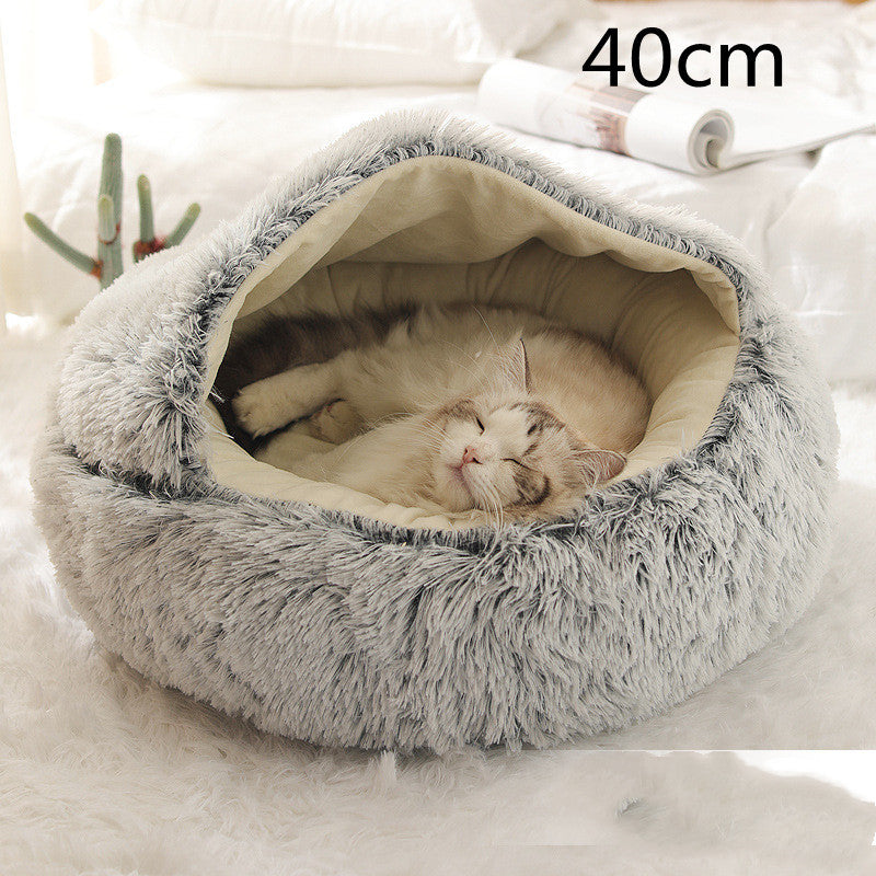 Pet Chili