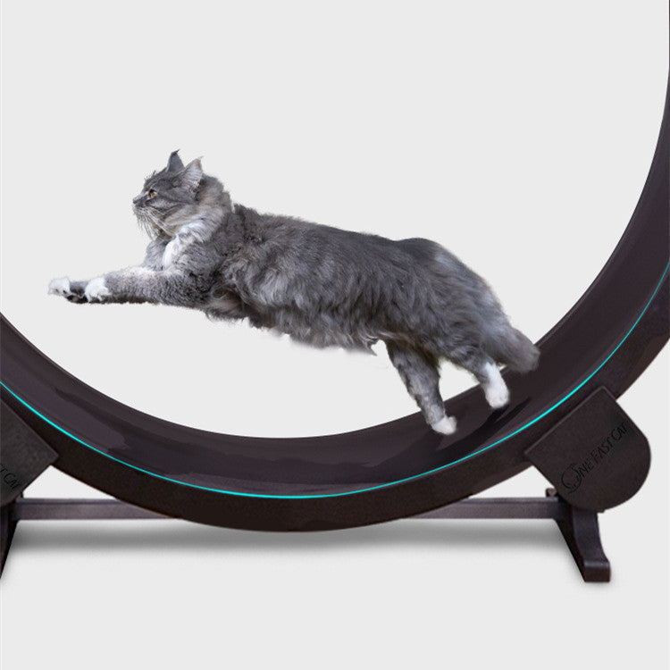 Pet Chili