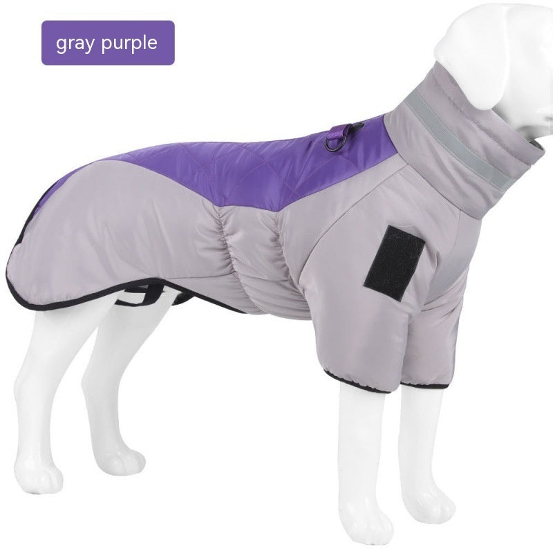 Pet Chili