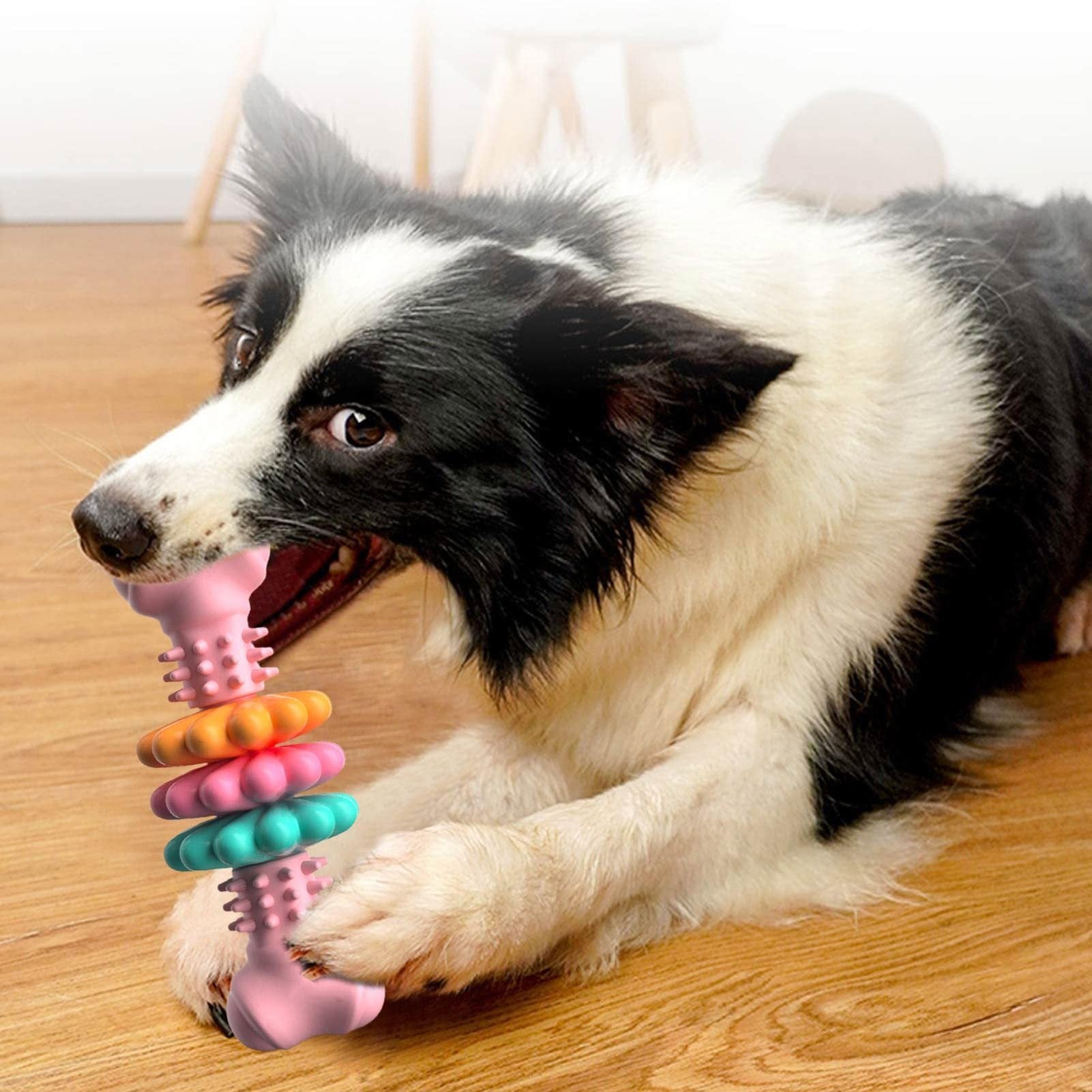 Pet Chili